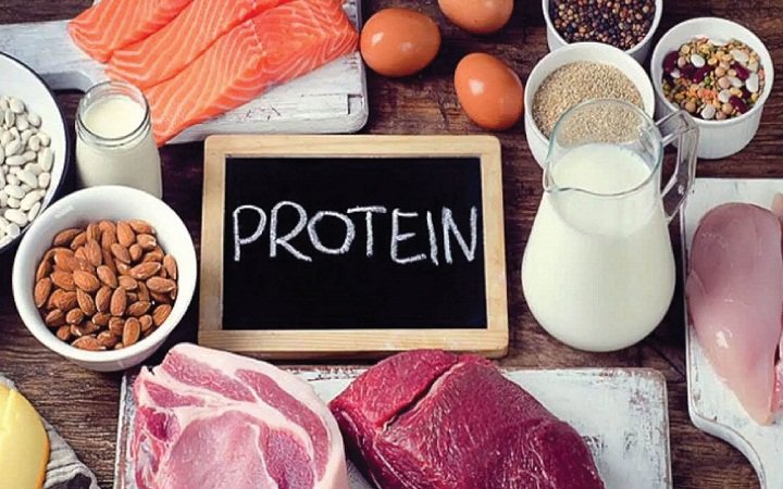 protein cơ thể cần