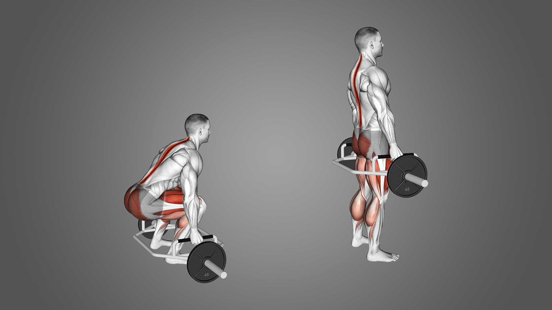 Trap-bar Deadlift